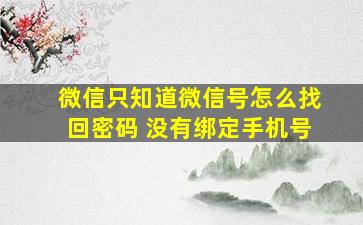 微信只知道微信号怎么找回密码 没有绑定手机号